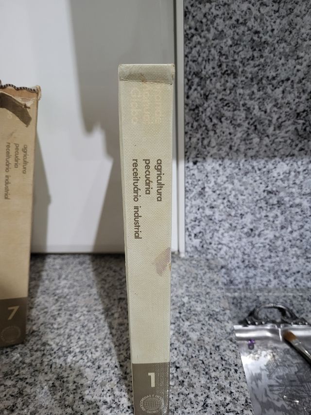 Coleção Grande Manual Globo - 7 Volumes