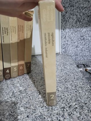 Coleção Grande Manual Globo - 7 Volumes