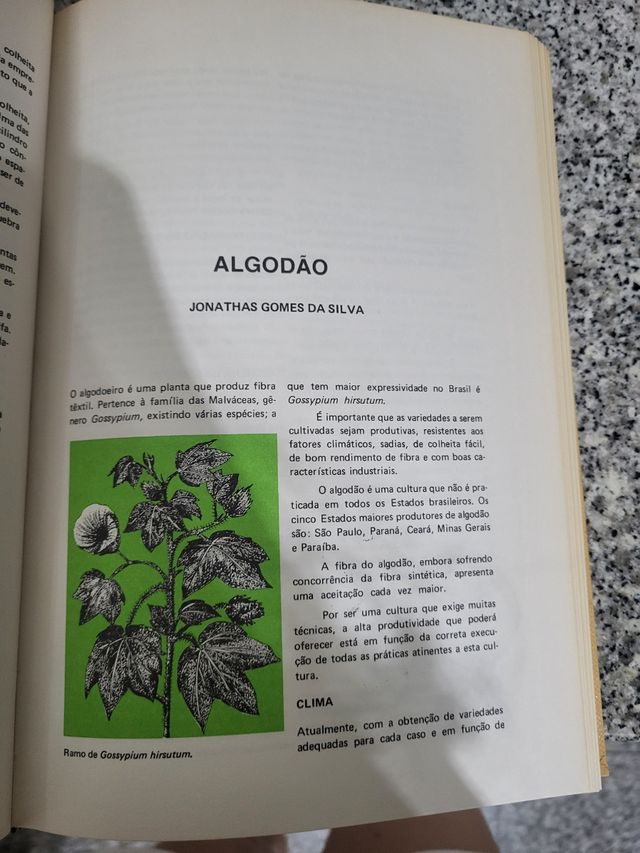 Coleção Grande Manual Globo - 7 Volumes