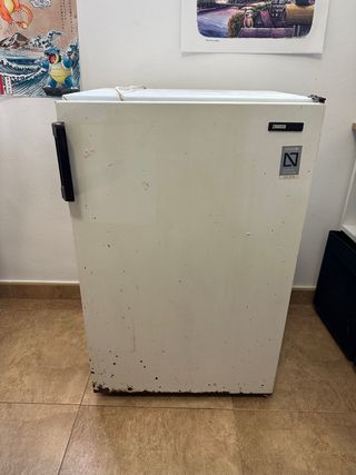 Nevera pequeña Zanussi