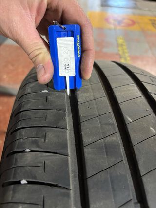 Neumático Bridgestone Ecopia 205/55R16 91V