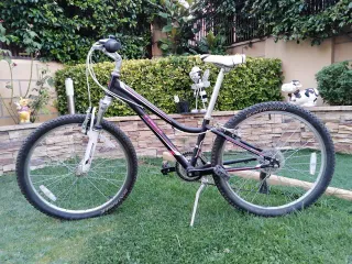 Bicicleta Trek MT 220 Niña/Niño