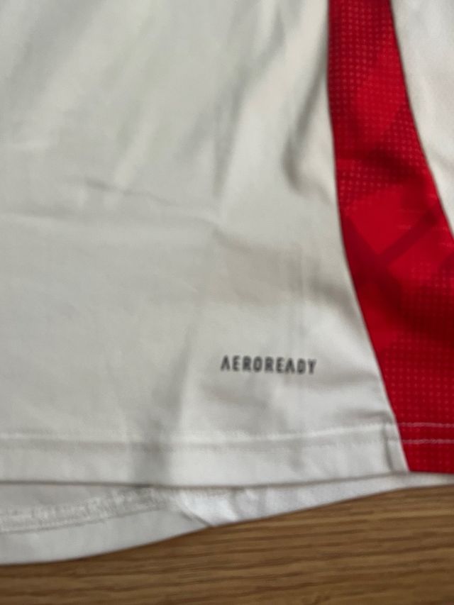 Camiseta entrenamiento  Olympique Lyon