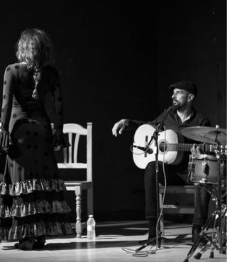 Clases de guitarra flamenca online PROFESOR