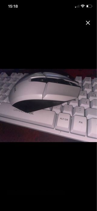 Ratón Gaming Trust Gris/Blanco