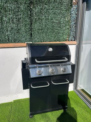 Barbacoa Negra y Plateada