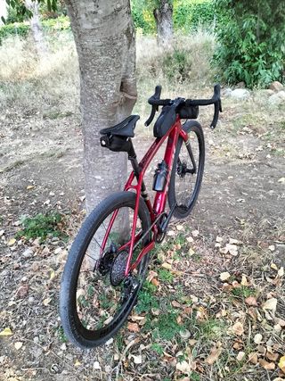 Trek Checkpoint SL7 Gravel Bike