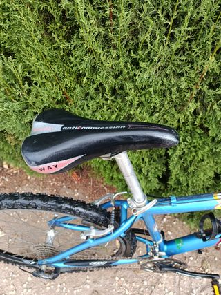 Bicicleta de Montaña