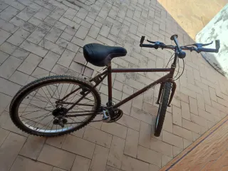 Bicicleta Rodada 26