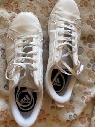 Zapatillas Adidas Hoops 2.0