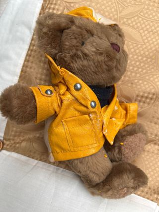 Ositos de peluche teddy
