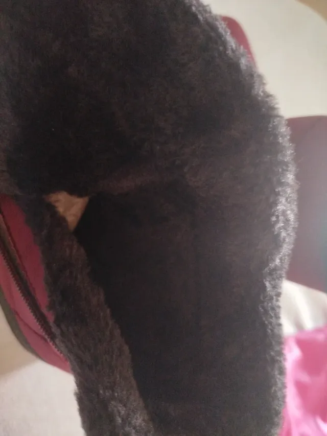 Botitas forradas pelo burdeos