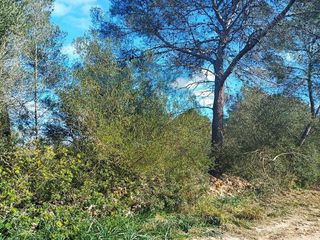 Terreno en venta en Algaida