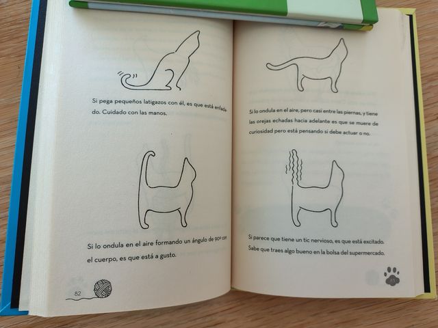 Libro No hay mejor vida que la de un gato y REGALO