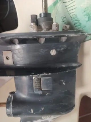 Cola Evinrude 15cv