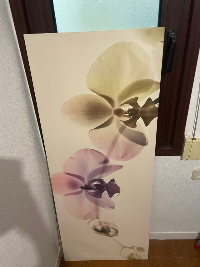 Cuadro Decorativo Flores Orquídeas