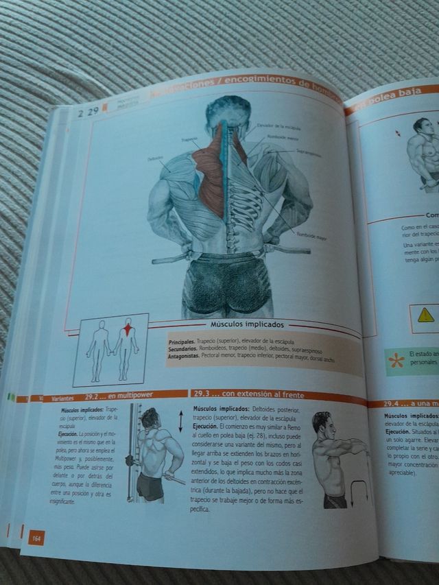 Enciclopedia de ejercicios de musculación