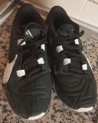 Nike Zoom Freak 5 Giannis Talla 44