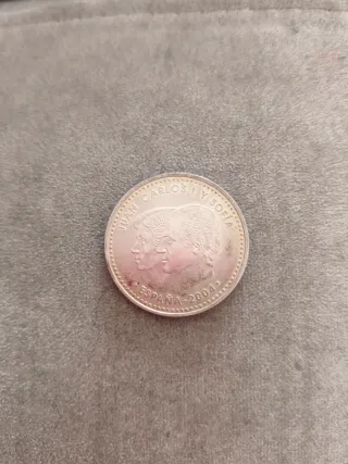 Moneda 12 Euros Plata Felipe y Letizia 2004