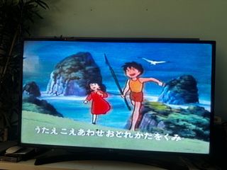 Lote 15 VHS:Clásicos Disney+Conan niño del futuro