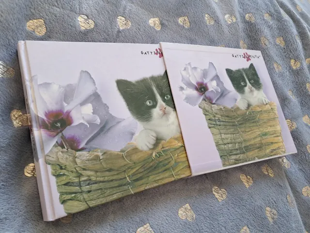 Album portafoto Gattinventa con Cofanetto Gatto