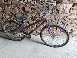 Bicicleta MTB infantil morada