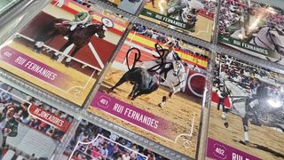 TAUROCROMOS ÁLBUM COMPLETO