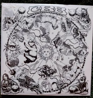 Chris Robinson Brotherhood - The Magic Door