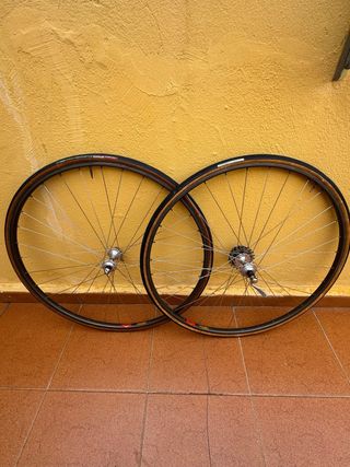 Ruedas Campagnolo Super Record Mavic GP4