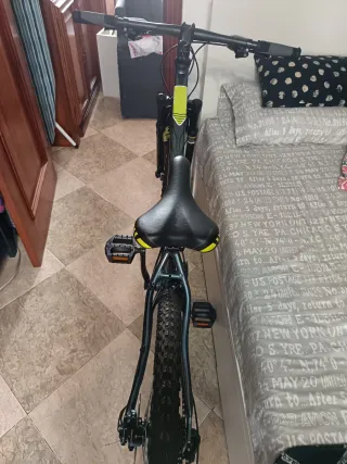 Bicicleta de montaña