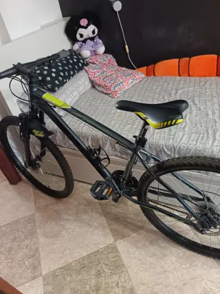 Bicicleta de montaña