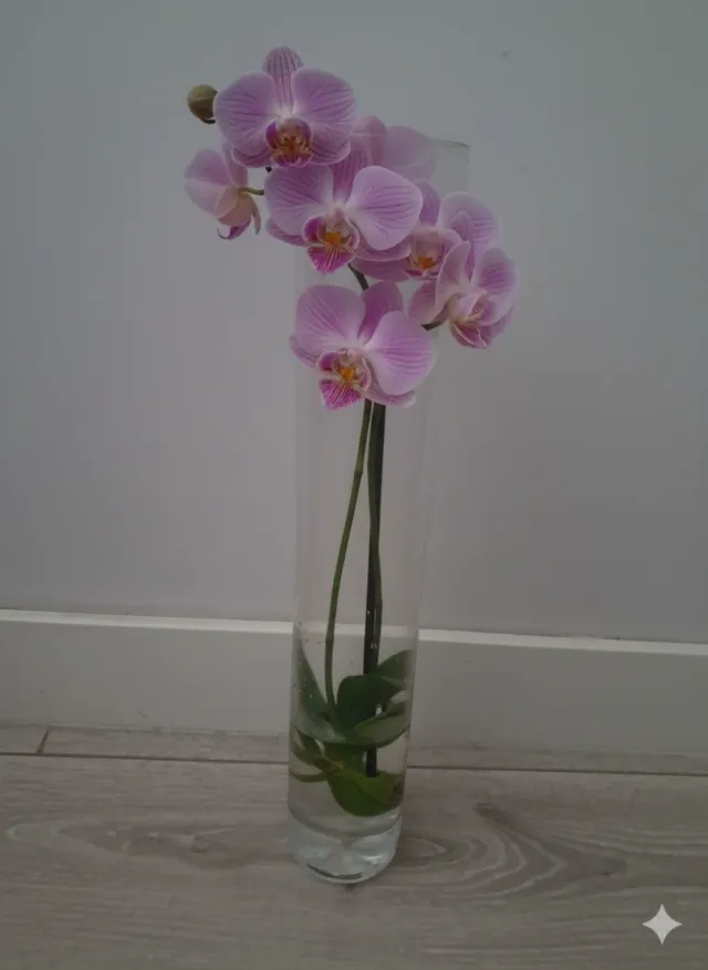 Jarrón de cristal transparente con orquídeas