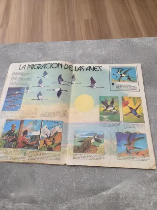 Colección Album de cromos Libro de las Adivinanzas