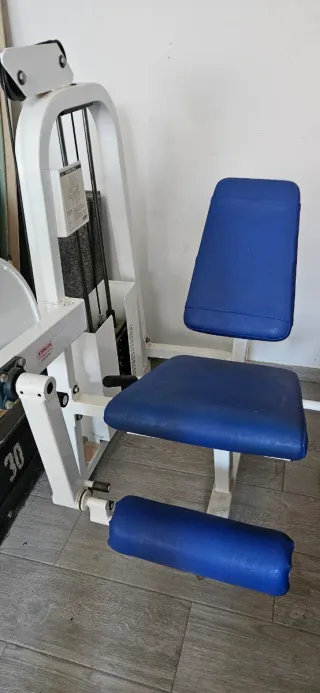 2 Máquinas Gimnasio: Cuádriceps y Femoral