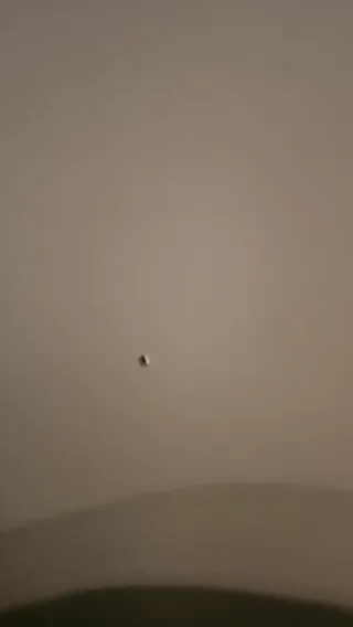 Vitrina de cristal y madera beige