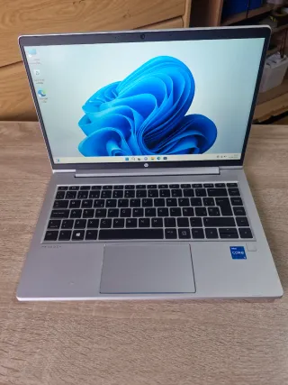 HP ProBook Plata 11ª Gen