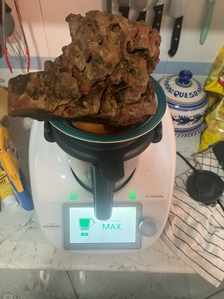 Rocas Dragón para Acuario