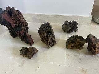 Rocas Dragón para Acuario