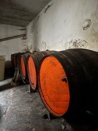 Barricas de roble Virginia y Castaño