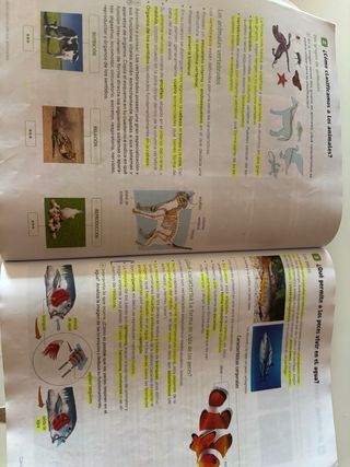 Biología y Geología. 1 Secundaria. Revuela