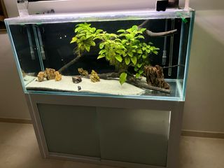 Acuario a medida con mesa de 400 Litros