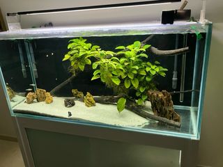 Acuario a medida con mesa de 400 Litros