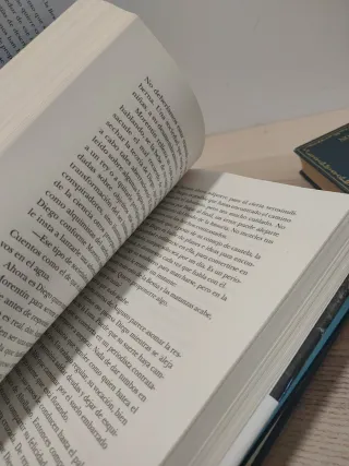 Lote libros Sandra