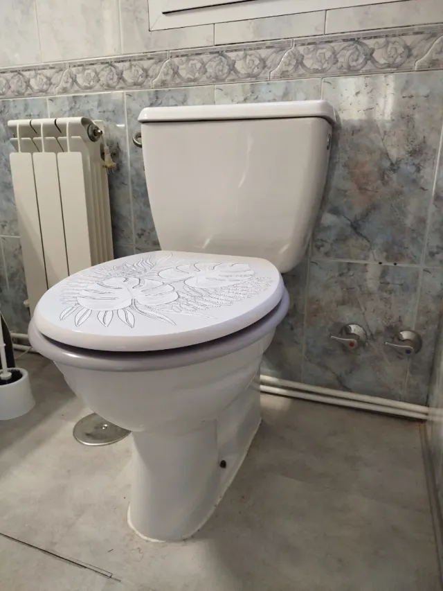 Inodoro blanco con tapa decorada de plástico
