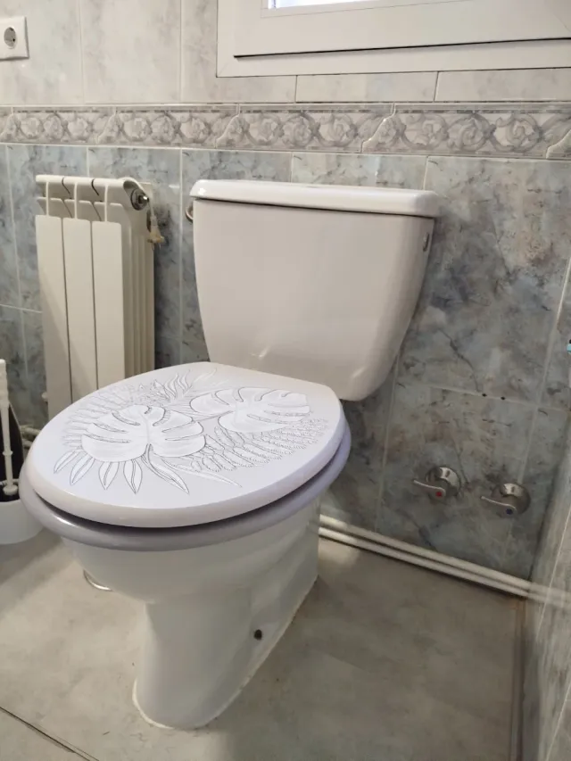 Inodoro blanco con tapa decorada de plástico