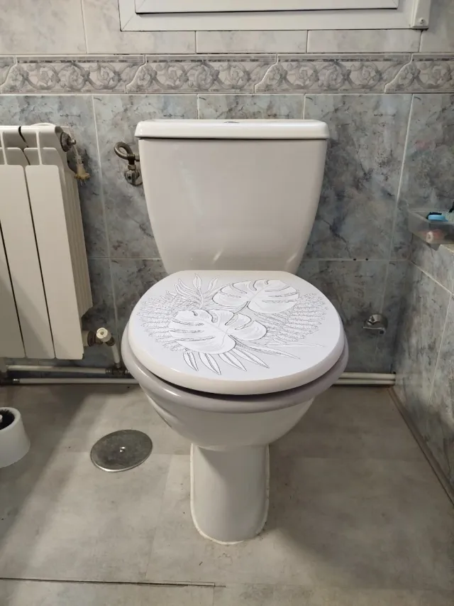 Inodoro blanco con tapa decorada de plástico