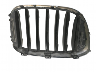 Rejilla izq Radiador BMW X3 G01