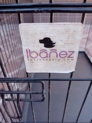 Jaula perros grandes Ibáñez