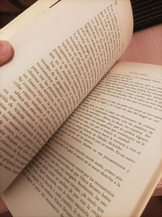 Diccionario jázaro Novela léxico