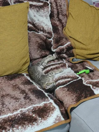 Vestido invernal corto de cuadros gris